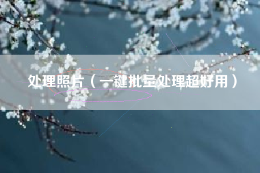 处理照片(一键批量处理超好用)