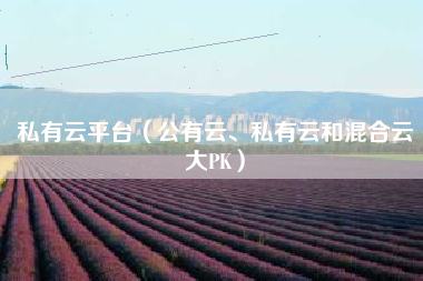 私有云平台（公有云、私有云和混合云大PK）