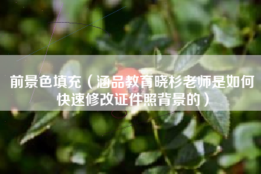 前景色填充(涵品教育晓杉老师是如何快速修改证件照背景的)