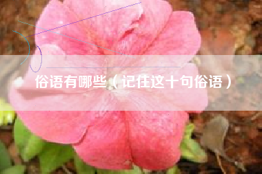 俗语有哪些(记住这十句俗语)