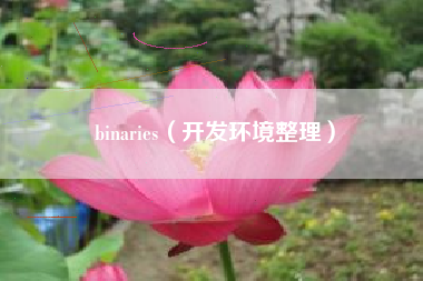 binaries（开发环境整理）