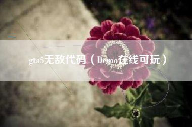 gta5无敌代码（Demo在线可玩）