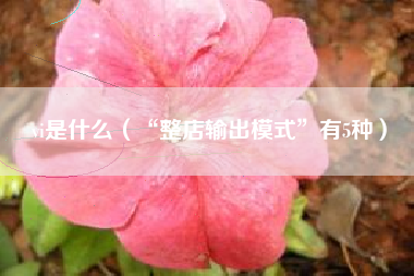 vi是什么(“整店输出模式”有5种)