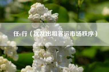 任e行(扰乱出租客运市场秩序)