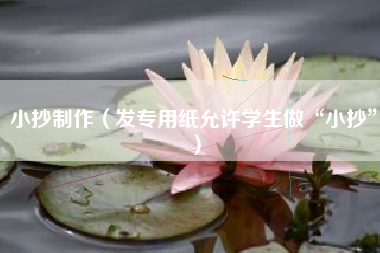 小抄制作(发专用纸允许学生做“小抄”)