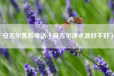 安吉尔售后电话（安吉尔净水器好不好）