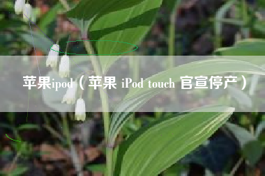 苹果ipod(苹果 iPod touch 官宣停产)
