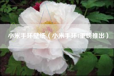 小米手环壁纸（小米手环4重磅推出）