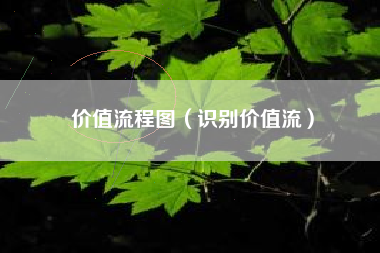 价值流程图（识别价值流）