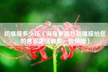 防爆膜多少钱(海龟梦隔热防爆膜给您的居家生活增加一份保障)