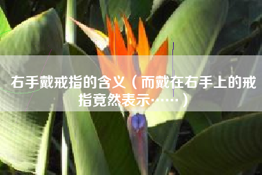 右手戴戒指的含义（而戴在右手上的戒指竟然表示……）