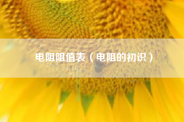电阻阻值表（电阻的初识）