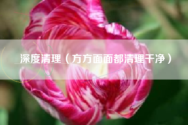 深度清理（方方面面都清理干净）