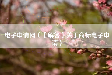 电子申请网（【解答】关于商标电子申请）