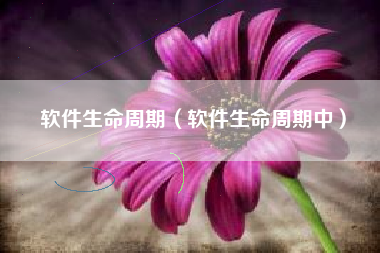 软件生命周期(软件生命周期中)