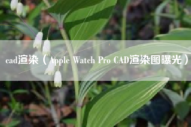 cad渲染（Apple Watch Pro CAD渲染图曝光）