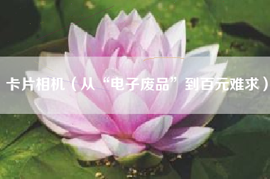 卡片相机（从“电子废品”到百元难求）