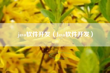 java软件开发(Java软件开发)