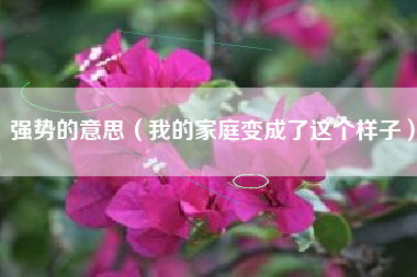 强势的意思（我的家庭变成了这个样子）