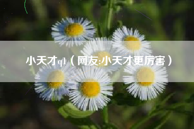 小天才q1(网友:小天才更厉害)