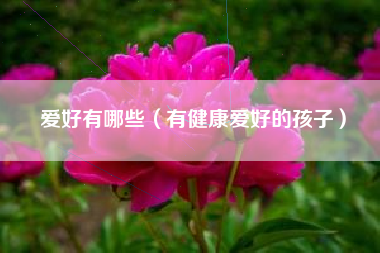 爱好有哪些(有健康爱好的孩子)