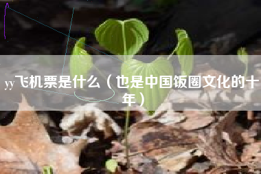 yy飞机票是什么（也是中国饭圈文化的十年）