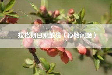 拉格朗日乘数法(原始问题)