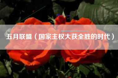 五月联盟（国家主权大获全胜的时代）