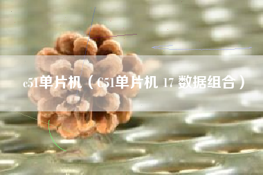 c51单片机（C51单片机 17 数据组合）