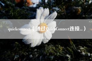 quickconnect（通过QuickConnect连接...）