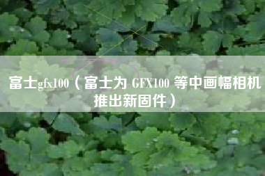 富士gfx100（富士为 GFX100 等中画幅相机推出新固件）