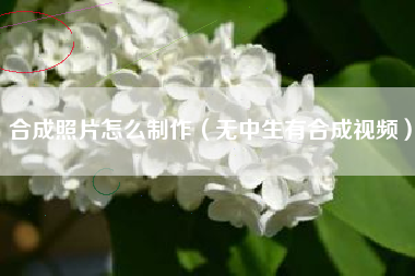 合成照片怎么制作（无中生有合成视频）