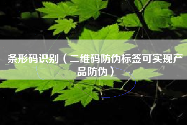条形码识别（二维码防伪标签可实现产品防伪）
