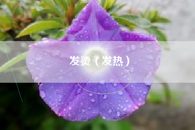 详细阅读:发烫(发热) 发烫(发热)