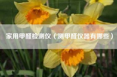 家用甲醛检测仪（测甲醛仪器有哪些）