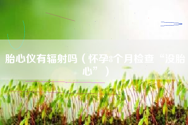 胎心仪有辐射吗(怀孕8个月检查“没胎心”)