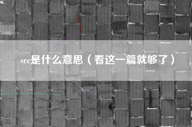 src是什么意思(看这一篇就够了)