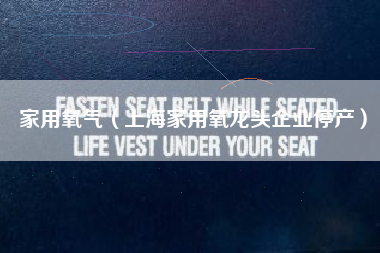 家用氧气（上海家用氧龙头企业停产）