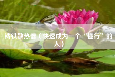 铸铁散热器（快速成为一个“懂行”的人）