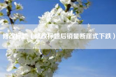 修改标题(修改标题后销量断崖式下跌)