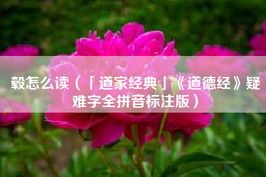 毂怎么读(「道家经典」《道德经》疑难字全拼音标注版)
