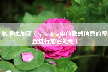 数据库加密（Springboot中的敏感信息的配置进行加密处理）