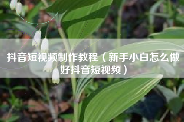 抖音短视频制作教程(新手小白怎么做好抖音短视频)
