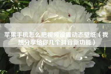 苹果手机怎么把视频设置动态壁纸(我想分享给你几个抖音新功能)