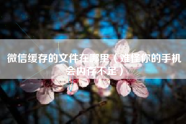 微信缓存的文件在哪里（难怪你的手机会内存不足）