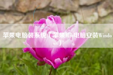 苹果电脑装系统(苹果Mac电脑安装Windows)