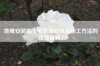 地暖安装图(电地暖安装及施工方法的详细讲解)