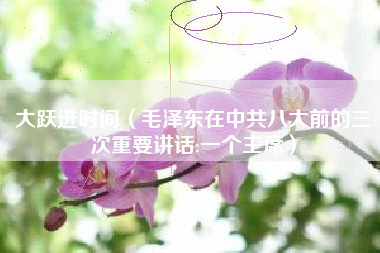大跃进时间(毛泽东在中共八大前的三次重要讲话:一个主席)