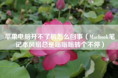 苹果电脑开不了机怎么回事（Macbook笔记本风扇总是嗡嗡嗡转个不停）