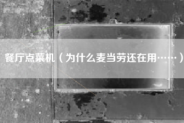 餐厅点菜机(为什么麦当劳还在用……)